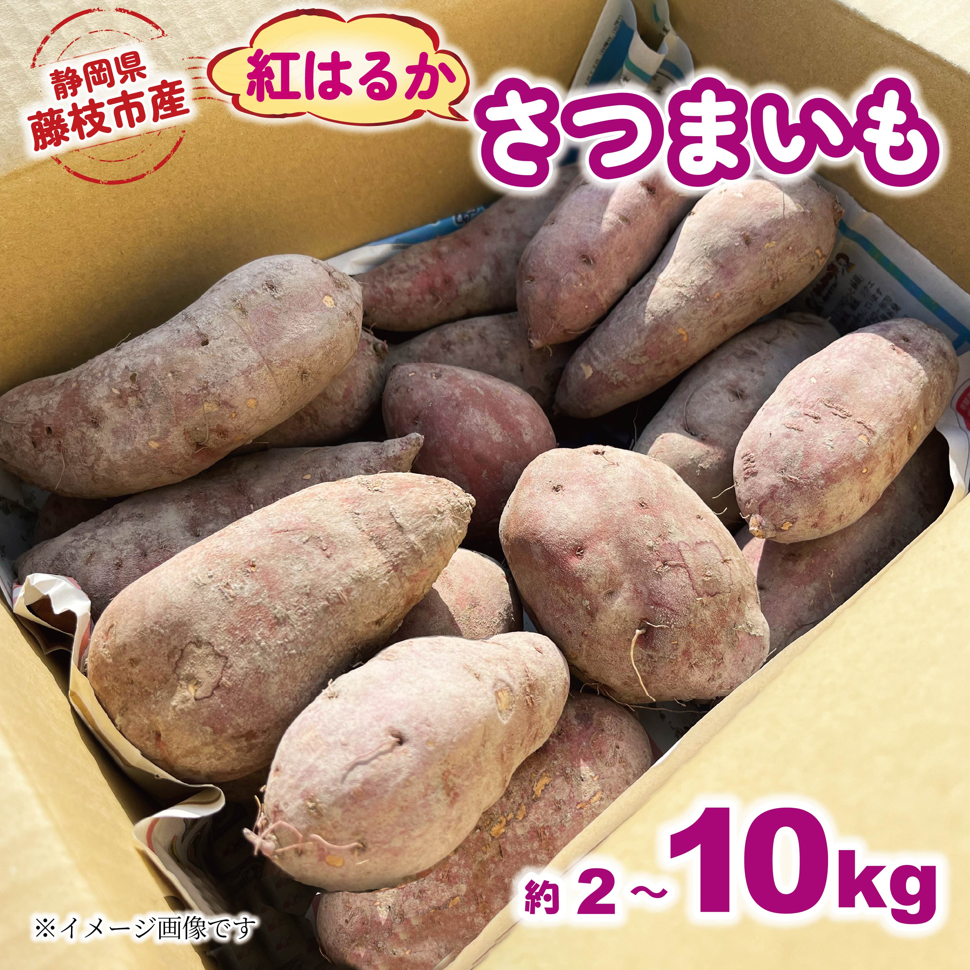 【ふるさと納税】 【2025年11月～順次発送予定】 さつまいも 紅はるか 約2kg～約10kg 期間限定 サツマイモ 焼き芋 イモ 芋 いも 野菜 健康 やさい 人気 おすすめ 静岡県 藤枝市