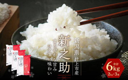 【令和7年産米】新潟県村上市産新之助6kg　A4034 