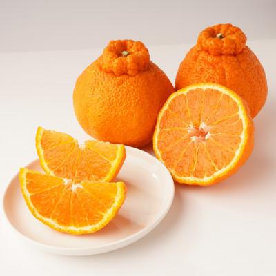 ふるさと納税 三豊市 【発送月固定定期便】三豊市を家族で味わう定番フルーツ全12回