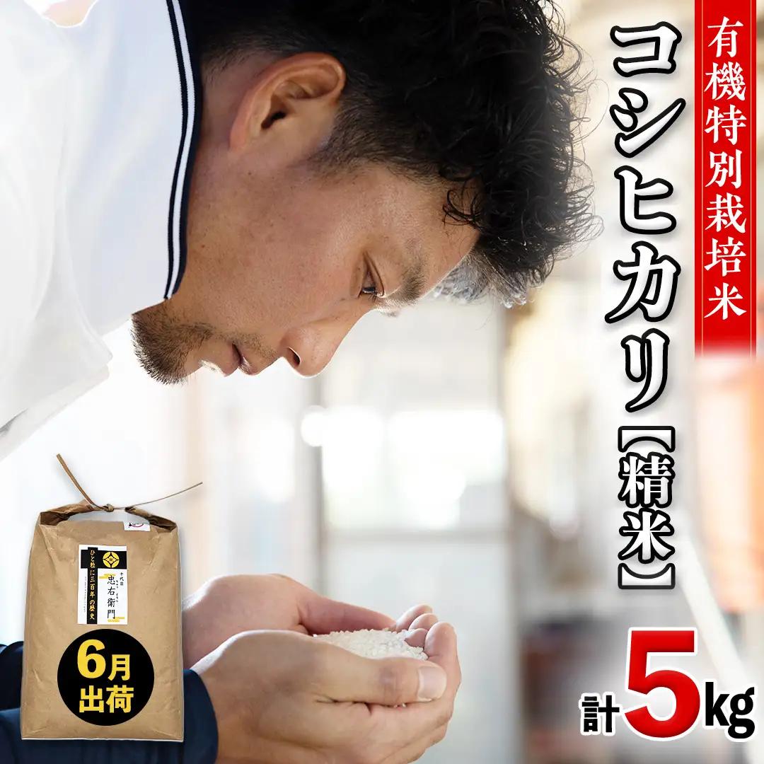 令和7年産 ＜ 6月出荷 ＞ 精米 5kg 三百年 続く農家 の 有機特別栽培米 コシヒカリ
