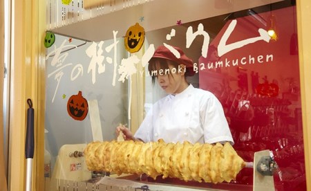 夢の樹バウム　チョコ味１段サイズ 