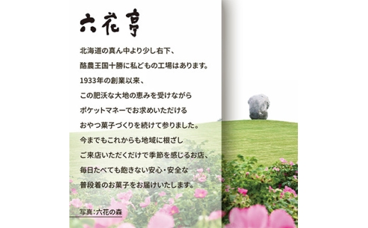 六花亭六花セレクションB 5セット(1セット:マルセイバターサンド10個+マルセイバターケーキ5個)【1784602】