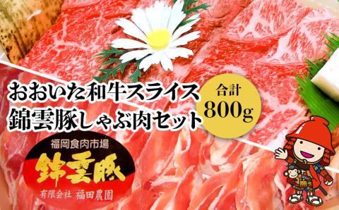 おおいた和牛・錦雲豚セット おおいた和牛スライス400g 錦雲豚しゃぶ肉 バラ・ロース各200ｇ 牛肉 和牛 豊後牛 すき焼き 赤身 しゃぶしゃぶ肉 大分県産 中津市 熨斗対応可