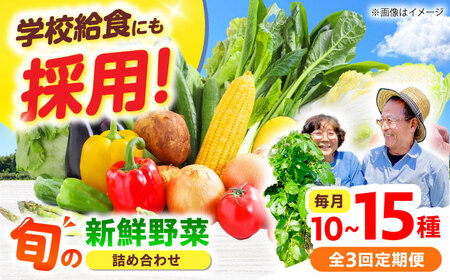 【全3回】高槻野菜 おまかせ詰め合わせ定期便 （10種〜15種）[AOCS019]野菜