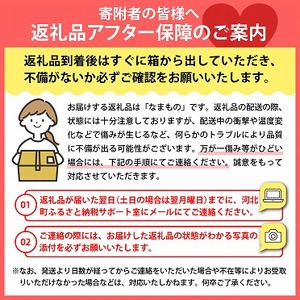 【令和7年産】シャインマスカット 700g（1房） 山形県河北町産【JAさがえ西村山】国産 マスカット 緑 ぶどう ブドウ 葡萄 常温便 フルーツ 果物 果肉 青果 お取り寄せ 東北 山形県 河北町