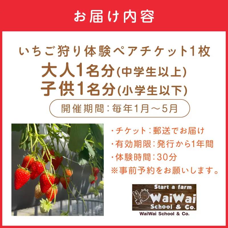 いちご狩り体験ペアチケット（大人1名・小人1名）【ふるさと納税3.0】【117D-004】