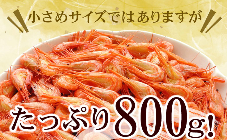 <年内配送可>【北海道根室産】北海シマエビ800g(80～130尾) A-56014