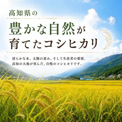 ふるさと納税 室戸市 新米 令和8年度 高知県産 コシヒカリ5kg 6回定期便 人気 米 お米 |  | 01
