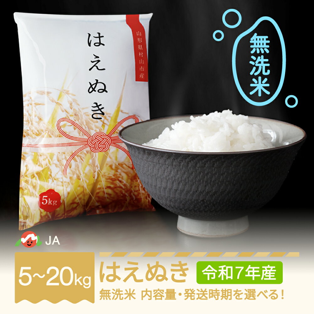 【ふるさと納税】【先行予約】 新米 米 5kg 10kg 15kg 20kg はえぬき 無洗米 令和7年産 2025年産 選べる内容量 山形県村山市産 送料無料 ※沖縄・離島への配送不可