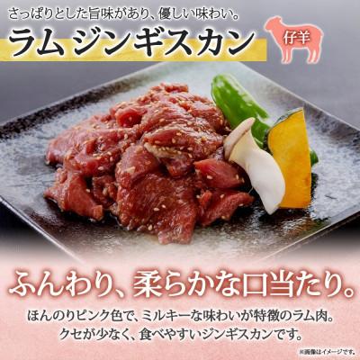 ふるさと納税 長野市 長野県 信州新町 不動温泉 さぎり荘 ジンギスカン2種食べ比べセット 250g×1袋 計500g |  | 02