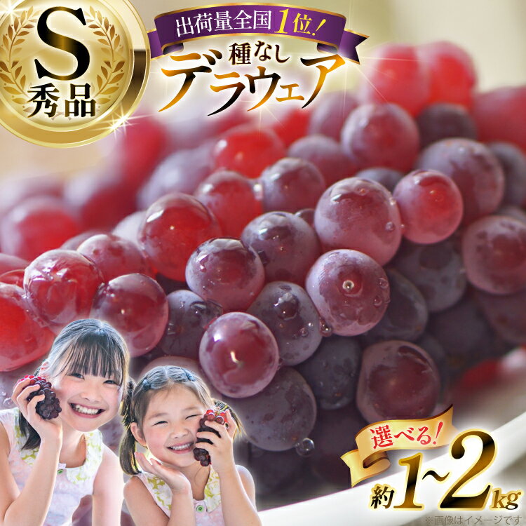 【ふるさと納税】 【期間限定発送】 ぶどう デラウェア 秀品 【選べる内容量】 [治右衛門果樹園 山形県 高畠町 tk06ays830012] 種なし ブドウ 葡萄 くだもの 果物 フルーツ 産地直送 農家直送 果実 デザート 甘い 1kg 2kg 小粒 期間限定 数量限定 冷蔵