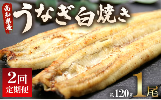 【2回定期便】 国産 うなぎ 白焼き 120g 1尾(無頭) うなぎ 魚介 国産 海鮮 魚 かばやき 鰻 ウナギ 惣菜 おかず お手軽 加工品 加工食品 冷凍 Wun-0031