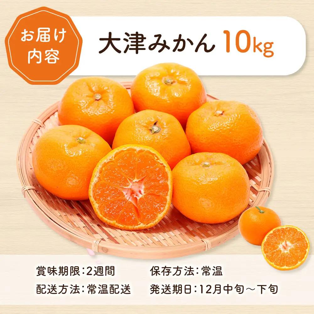 大津みかん10kg | 湯河原町 湯河原発祥 みかん 柑橘 旬 大津4号 10kg フルーツ