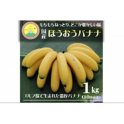【ふるさと納税】【2026年発送・ほうおうバナナ】もっちりねっとりな味わい!群馬県太田市産まれ貴重な国産バナナ1kg【配送不可地域：離島】【1678486】