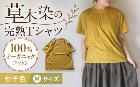 オーガニックコットン 完熟Tシャツ　【柑子色】 Mサイズ / オーガニック コットン 綿100　手染め 草木染め Ｔシャツ 半袖 トップス ファッション インナー 女性用 レディース 男性用 メンズ ユニセックス 男女兼用 ギフト 贈答 プレゼント / 大村市 / ISTIST[ACZW058-2]