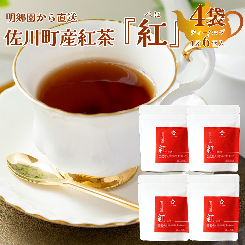 ＜お山の茶　明郷園　さかわ紅茶「紅」セット＞高知県　佐川町　国産【常温】