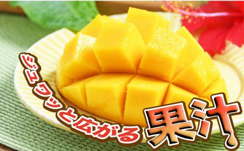 【2024年発送】A4ランク　絶品！甘くてジューシーうるマルシェの贈答用完熟マンゴー 約2kg マンゴー　アップルマンゴー　完熟　糖度　甘い　ジューシー　アーウィン　うるマルシェ　うるま市　沖縄