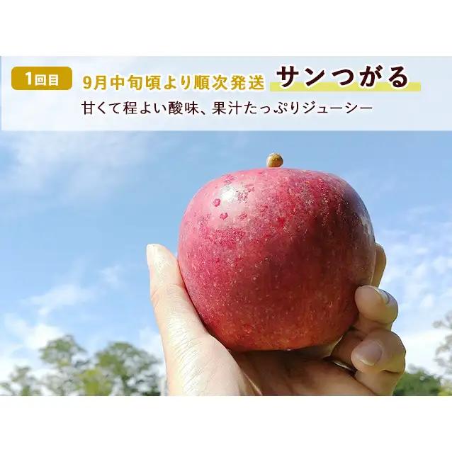 りんご 3種 サンつがる 紅玉 サンふじ 訳あり りんご【約5kg 14〜18玉】【定期便3ヶ月】