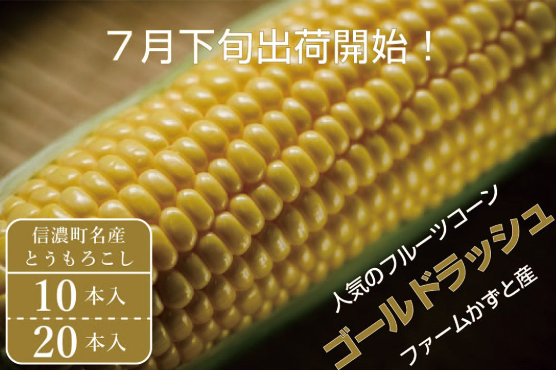 
             信濃町名産とうもろこし『ファームかずとのゴールドラッシュ 10本 / 20本セット』【2025年夏のご予約受付開始！】生産者直送　令和7年（2025年）8月出荷分 先行予約【長野県信濃町ふるさと納税】　
          