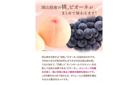 桃・ピオーネ詰め合わせ 約1kg 白桃 ぶどう