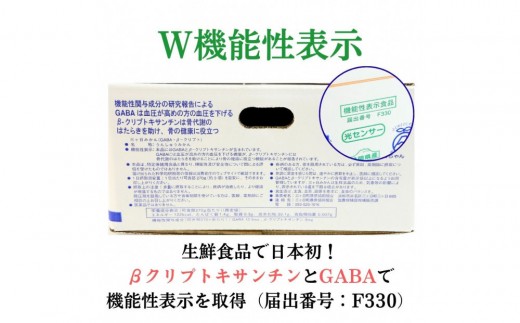 三ヶ日みかん（完熟早生「心」）4kg【2026年12月中旬以降順次発送】