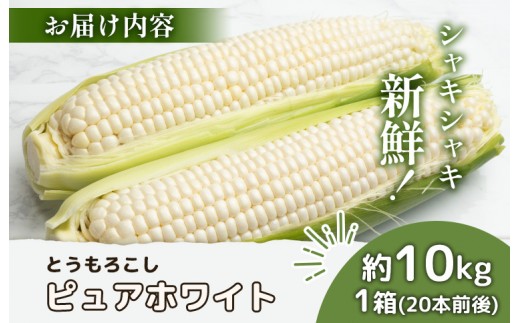 【先行予約】上原農場直送　有機栽培とうもろこし (ピュアホワイト) 約10kg 約20本前後