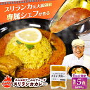 【ふるさと納税】【全6回定期便】 スニルのアーユルヴェーダ　スリランカカレー（オリジナルスパイス）200g×5食 日田市 / 株式会社OTOGINO[AREF027]