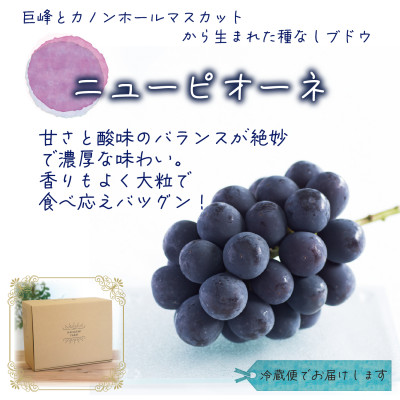 【2026年先行受付】岡山　花笑み農園の『ニューピオーネ』家庭用　約2kg(3～5房)P-2家【配送不可地域：離島】