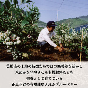 ブルーベリー 大粒 2kg 冷凍 果物 フルーツ デザート 旬 新鮮 季節 夏 人気 ケーキ おすすめ ギフト プレゼント 贈答 贈り物 家庭用 期間限定 送料無料 美馬 徳島