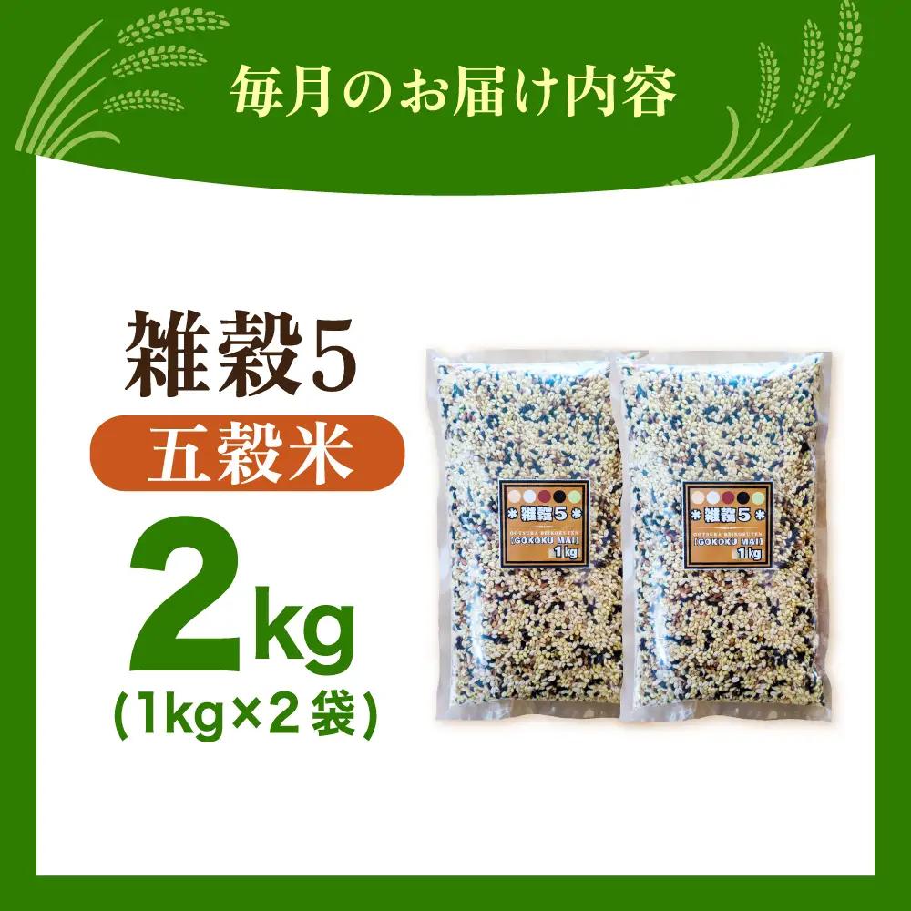 【全12回定期便】 雑穀5 2kg（1kg×2袋）佐賀県産五穀米 【大塚米穀店】[HBL196]