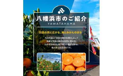 【毎週定期便】愛媛県産 冷凍みかん定期便｜シャーベット感覚で楽しむ完熟みかん【G25-391】全3回【4083932】　ふるさと納税 冷凍 みかん ミカン フルーツ デザート スイーツ アイス 果物 
