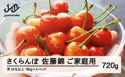 
            【ふるさと納税】【先行予約】 ご家庭用 さくらんぼ 佐藤錦 秀品 M玉以上 約720g 令和8年産 2026年産 山形県産 フルーツ 果物 tf-snpsm720
          