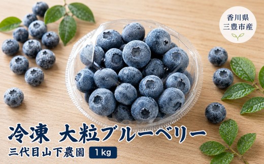 訳あり 冷凍 大粒ブルーベリー 1kg