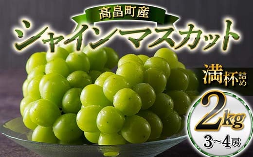 
            ≪2025年先行予約≫山形県 高畠町産 シャインマスカット 満杯箱詰 2kg(3〜4房) 2025年9月中旬から順次発送 ぶどう ブドウ 葡萄 マスカット 大粒 種なし 高級 くだもの 果物 フルーツ 秋果実 産地直送 農家直送 数量限定 F20B-118
          