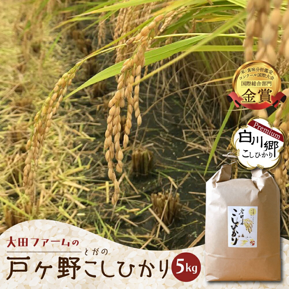 【ふるさと納税】先行予約 令和7年産 コシヒカリ 5kg 白川郷 戸ヶ野のこしひかりプレミアム 予約 こだわりのお米 精米 コシヒカリ 岐阜県 飛騨 世界最高米認定農家 大田ファーム 16000円 【2025年11月以降〜順次発送】 [S436]