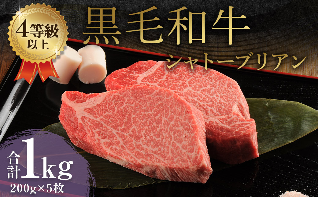 くまもと 黒毛和牛 シャトーブリアン 1.0kg（200g×5枚）牛肉 牛 肉