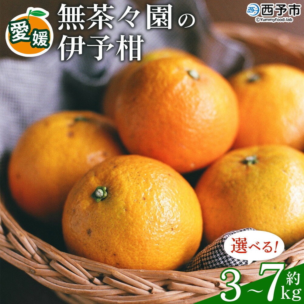 【ふるさと納税】【先行予約】 ＜無茶々園の伊予柑 約3kg/5kg/7kg＞ 果物 いよかん イヨカン みかん ミカン 蜜柑 柑橘 フルーツ 選べる内容量 期間限定 季節限定 特産品 愛媛県 西予市【常温】『2027年1月中旬～2月中旬に順次出荷予定』