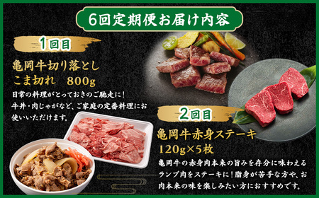 【6回定期便】亀岡牛 牛肉 お楽しみセット【計4.05kg】 牛肉