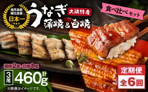 2492 【定期6回】大隅特産うなぎ蒲焼 2尾（340g）・白焼1尾（120g）食べ比べセット　KN060-T16