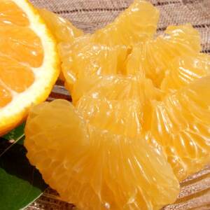 甘夏(あまなつ)秀品[約7kg]和歌山県有田産春みかん(果実サイズおまかせ)【1296241】