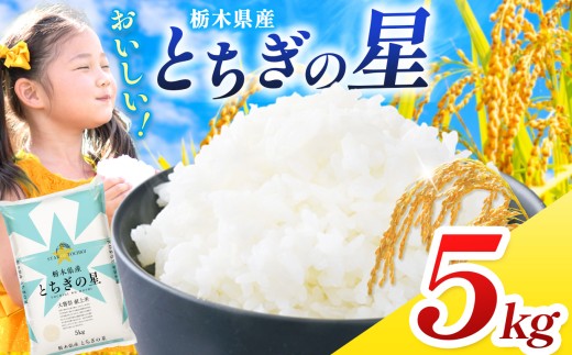 【栃木県共通返礼品】【令和7年度産】 訳あり 栃木県産とちぎの星 5kg | ふるさと 納税 とちぎの星 お米 精米 白米 玄米 大粒 共通返礼品 送料無料 那珂川町 栃木県