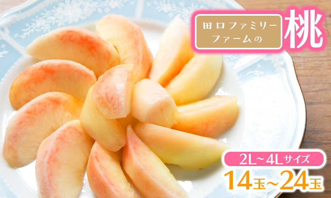 
                  【田口ﾌｧﾐﾘｰﾌｧｰﾑ】旬の桃 2L～4L(14～24玉)(2025年6月中旬発送開始) N053-YZB710
                