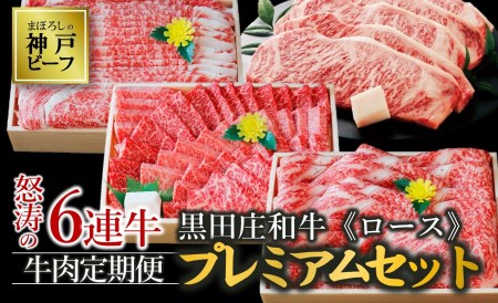 【冷蔵・年6回お届け定期便】 特選 黒田庄和牛ロースプレミアムセット（焼肉・すき焼き・しゃぶしゃぶ・ステーキから選べます！）（tokusan-56）