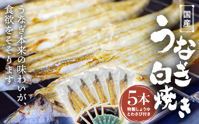 
国産うなぎ白焼（5本） / 田辺市 国産 国産うなぎ 国産鰻 うなぎ 鰻 鰻丼 うな丼 土用の丑の日 和歌山
