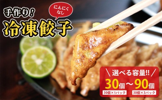 
            冷凍餃子 選べる単品 にんにくなし ( 30個×1p 2p 3p )  餃子 セット ぎょうざ ギョウザ にんにく 不使用 肉 お肉 豚肉 豚 鶏肉 鳥 おつまみ 加工品 肉汁 惣菜 お弁当 冷凍ストック 寺岡商店 香川県 丸亀市
          