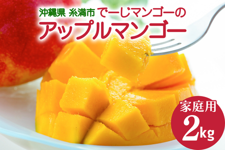 【 先行予約 2026年 発送 】 沖縄 糸満市産 でーじマンゴーの アップルマンゴー 2kg ( 家庭用 ) マンゴー アップルマンゴー アーウィンマンゴー 2キロ フルーツ 果物 完熟 わけあり 沖縄県産 国産 完熟マンゴー くだもの 産地直送 農家直送 糸満市 26-1