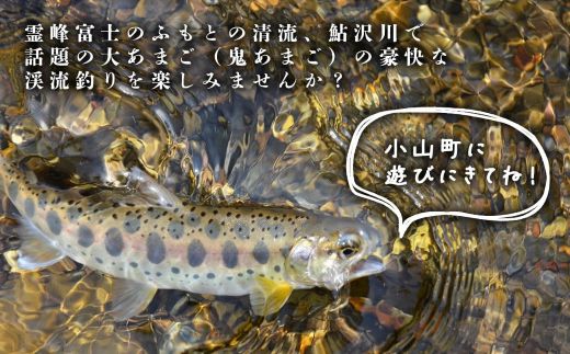 鮎沢川あまご釣り「年券」 ※着日指定不可