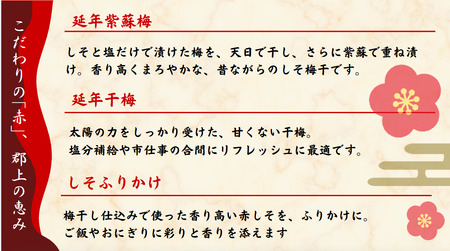 郡上延年梅ギフト 梅干し・赤しそのセット 梅 うめ 梅 うめ