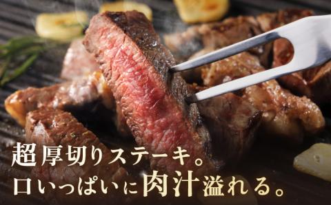 【全6回定期便】佐賀牛 サーロイン ステーキ 600g（300g×2枚）【山下牛舎】 [HAD067]