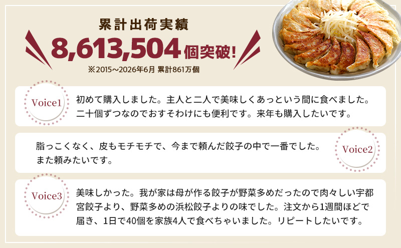 【定期便12回】浜松餃子 60個 (20個×3袋) セット 詰め合わせ 